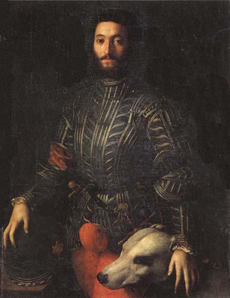 Agnolo Bronzino Portrait of Guidubaldo della Rovere oil painting image